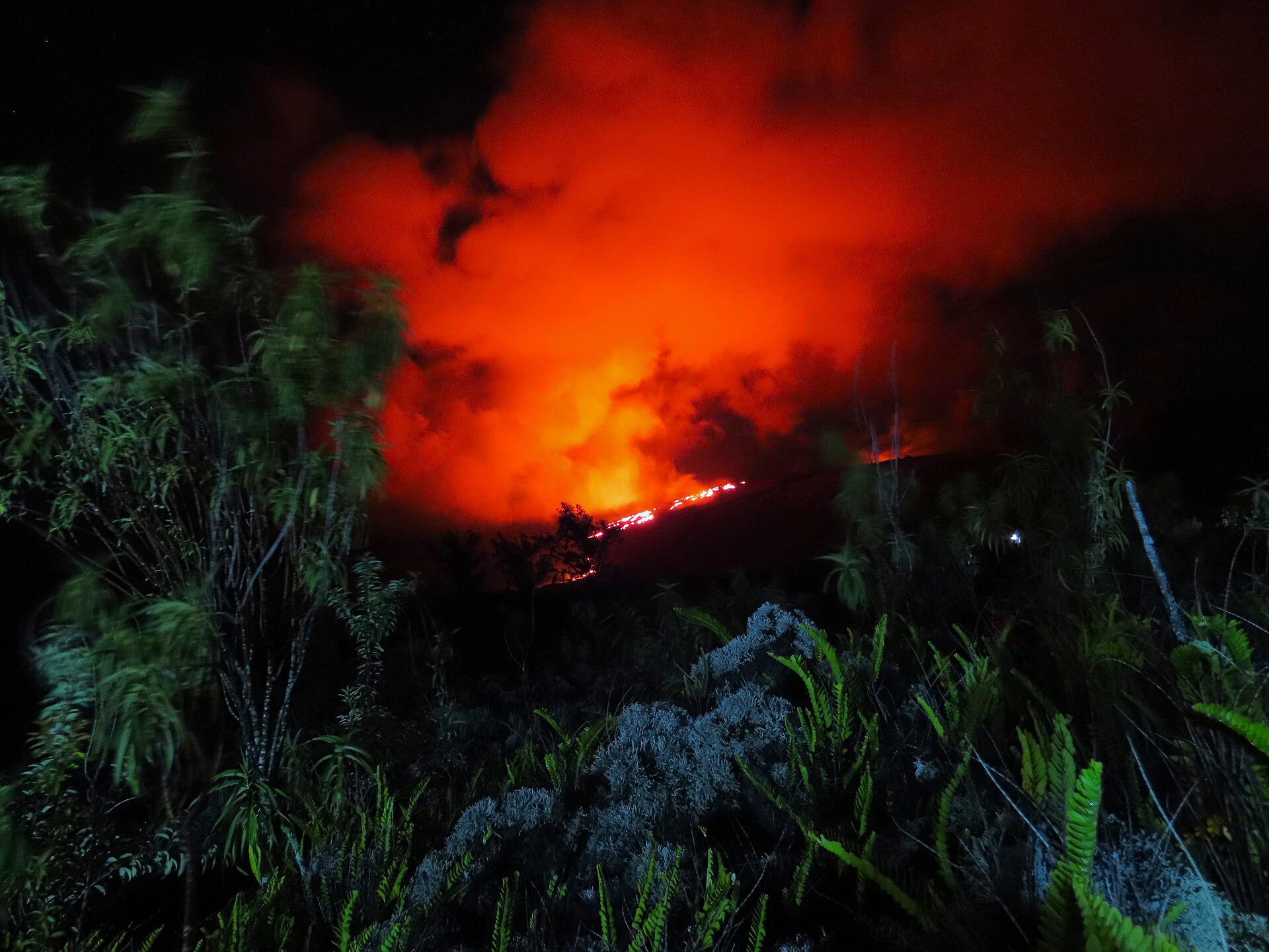 Lueur orange d'une éruption nocturne du Piton de la Fournaise au-dessus de la végétation